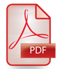 Audit Report pdf file link